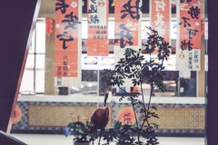 000013_结果_结果