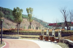 000045120013_结果