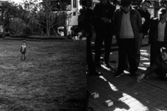 未标题-33
